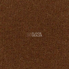 Ковролин Radici Admiral Autunno 631 фото 1 | FLOORDEALER